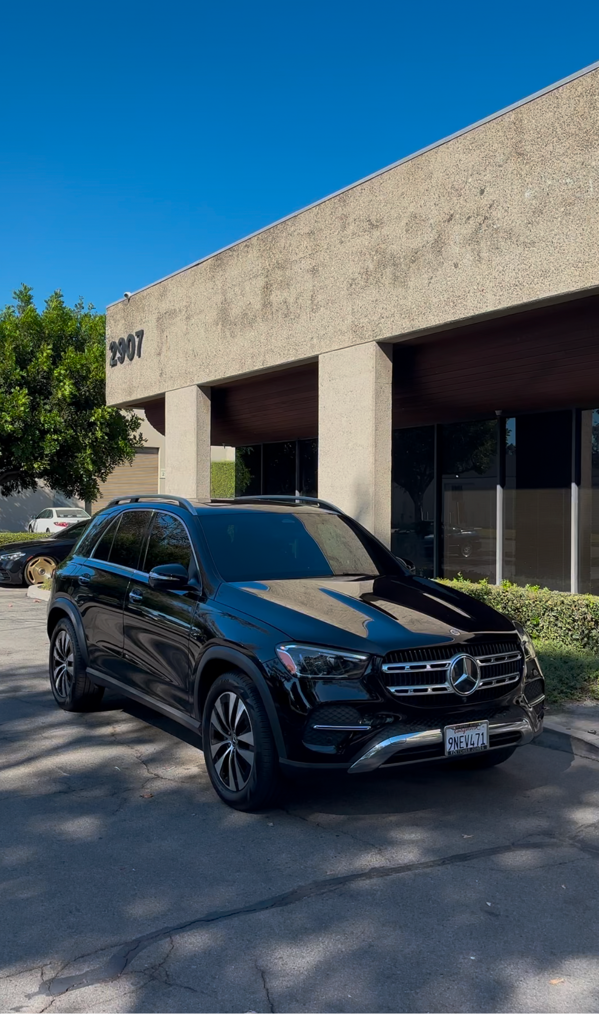 Window Tint