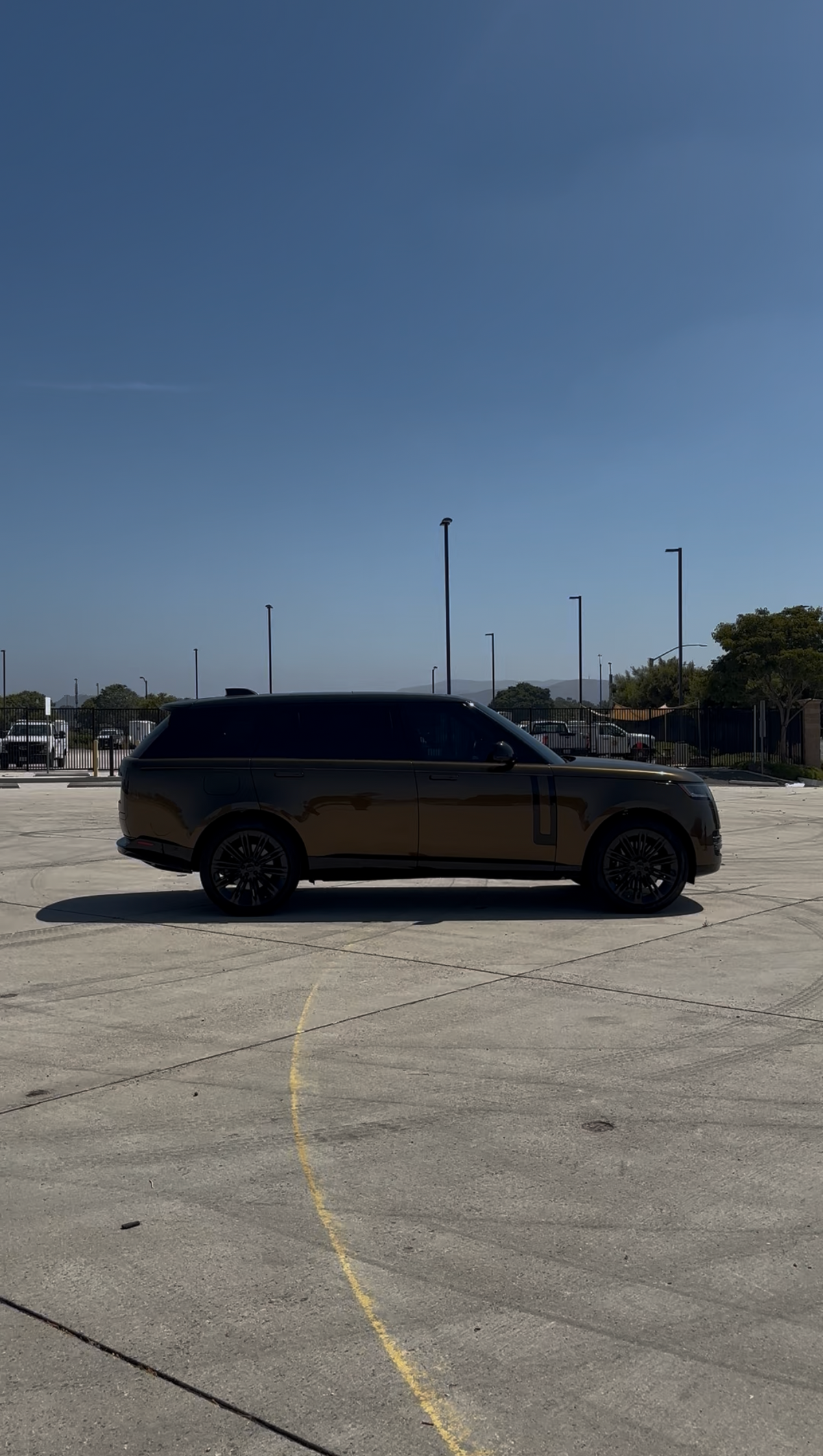 Vinyl Wraps